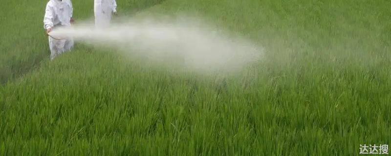 敌草快二氯盐有什么特点 敌草快二氯盐分子量