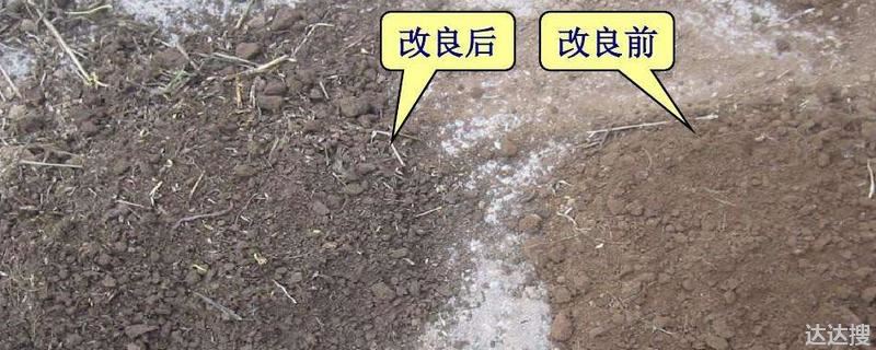 怎样改良土壤,常用的方法有哪些 怎样改善土质
