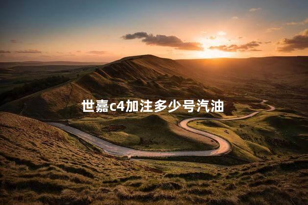 世嘉c4加注多少号汽油 世嘉1.6油耗