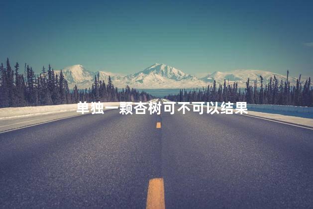 单独一棵杏树可以结果吗
