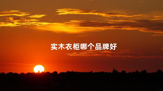 实木衣柜哪个品牌好,实木衣柜哪个品牌好一些