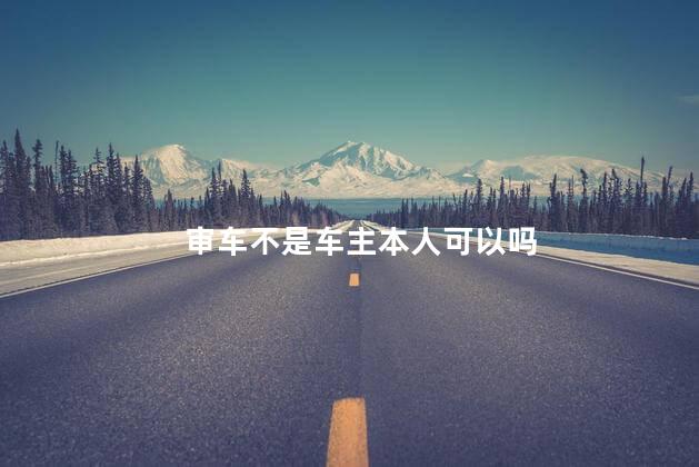 审车不是车主本人可以吗