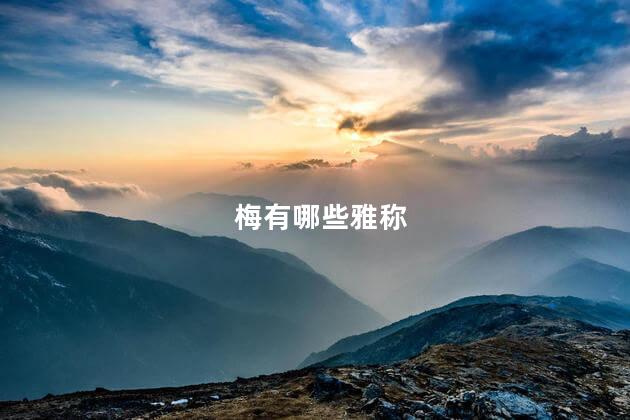 梅的雅称