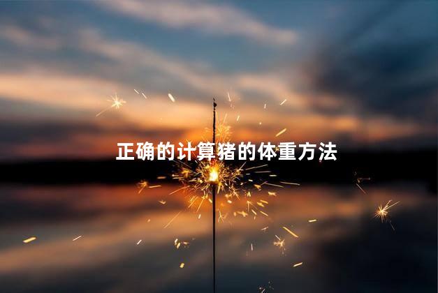正确的计算猪的体重方法 猪的体重用尺子量怎么计算方式