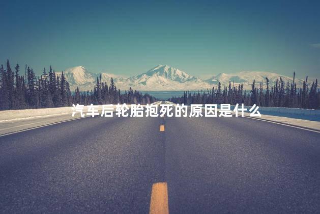 汽车后轮胎抱死的原因是什么