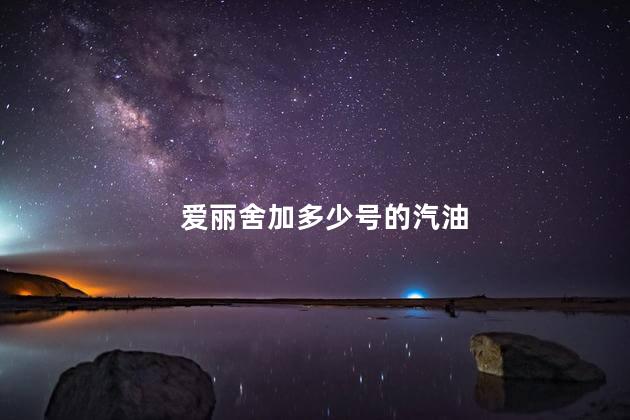 爱丽舍加多少号的汽油 雪铁龙世嘉1.6加几号油