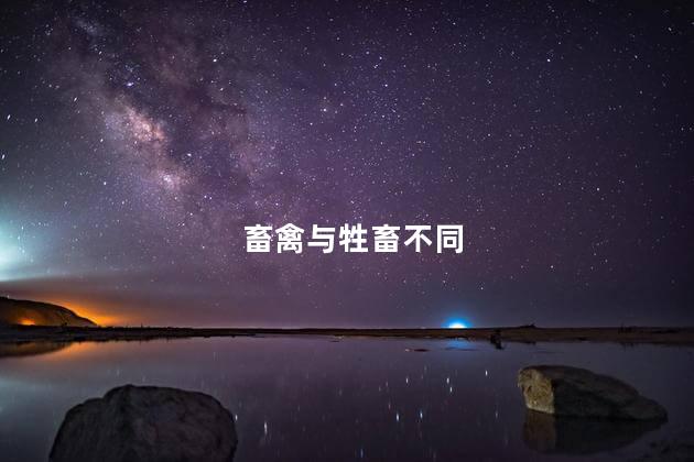 畜禽与牲畜区别
