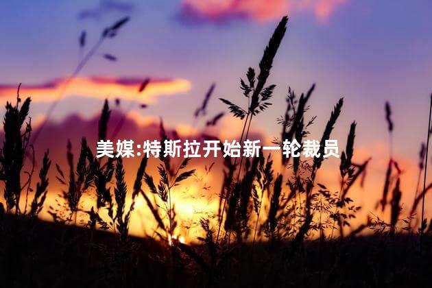 美媒:特斯拉开始新一轮裁员