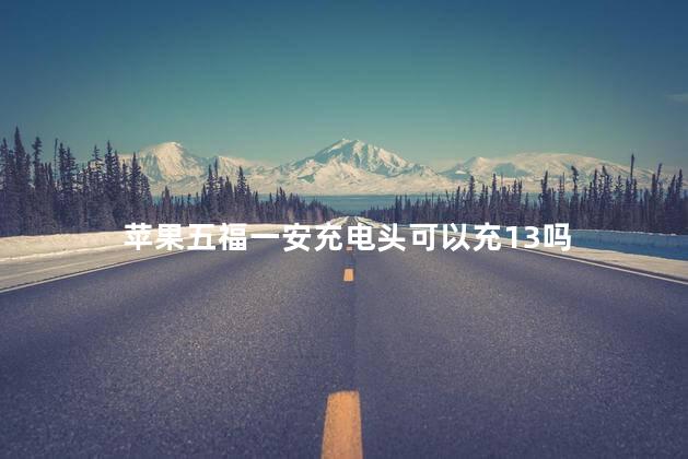 苹果五福一安充电头可以充13吗