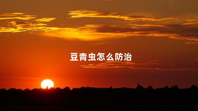 豆青虫怎么防治 种植豆青虫