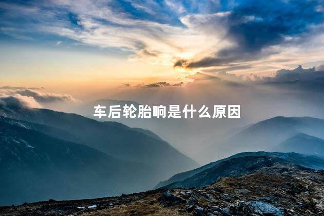 车后轮胎响是什么原因 汽车后轮吱吱响