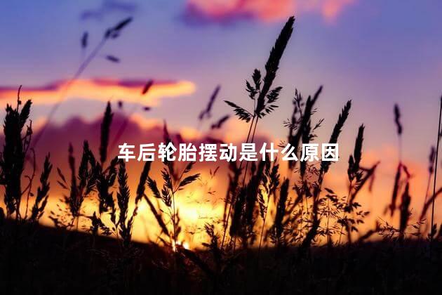 车后轮胎摆动是什么原因 汽车从后面看后轮摆动