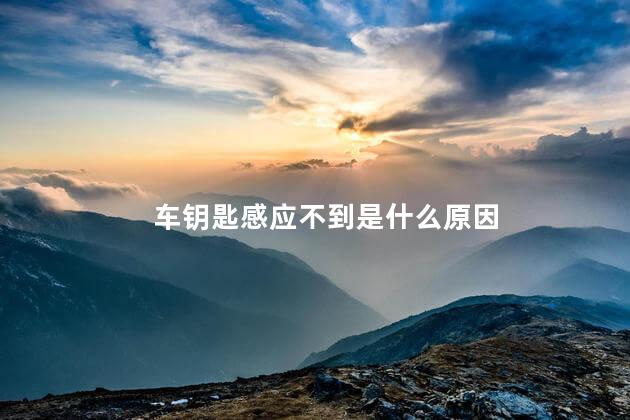车钥匙感应不到是什么原因