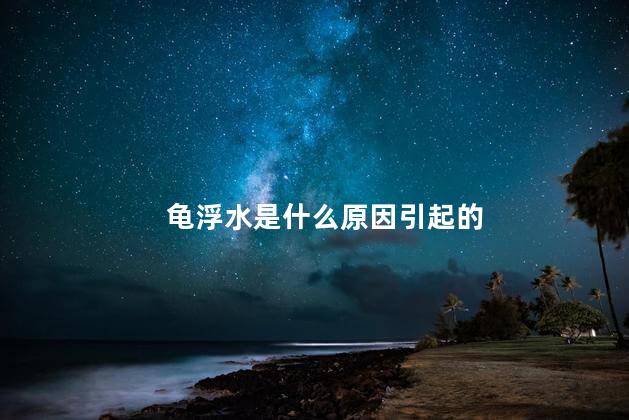 龟浮水是什么原因引起的 乌龟侧身浮水怎么办