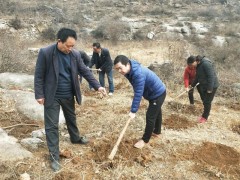 河南新安王亚飞为脱贫带领农民在山坡种植：扎根只为除穷根