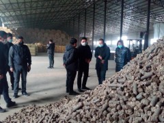 黑龙江省农业农村厅组织动员全体党员干部下沉指导备春耕行动