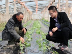 河南省安阳市滑县牛屯镇何庄村第一书记王纪超的扶贫故事