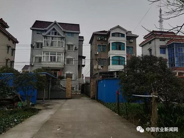 “特色农产品”是啥?国家发文扶持了,农民早点知道,不是坏事