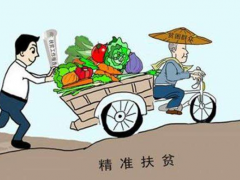北京市农广校农民学员寇红艳带领父老乡亲走上了增收致富道路