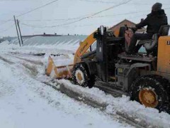 黑龙江龙江县极端大雪影响农业生产，全县三千多人参与清雪保春耕！