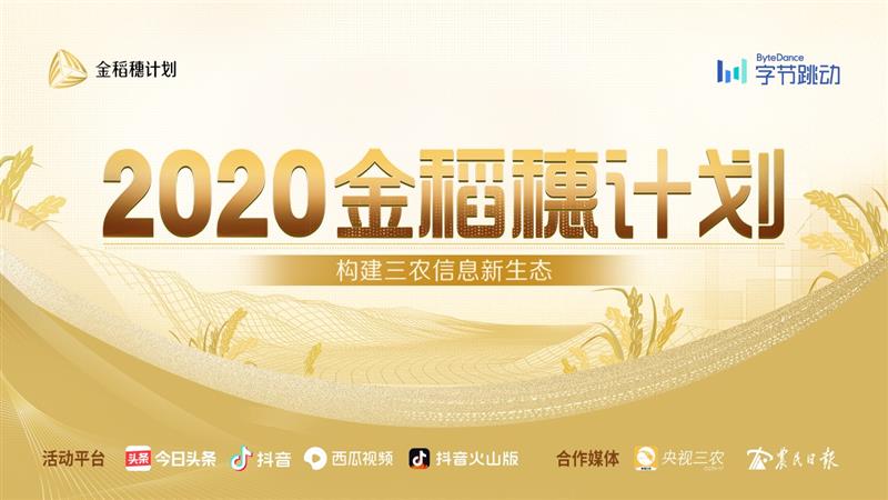 字节跳动2020金稻穗计划！助力“<a href=https://www.dadasou.com/ target=_blank class=infotextkey>三农</a>”普惠、繁荣“三农”创作