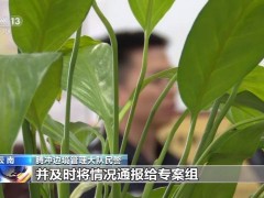 腾冲边境毒贩撞车逃逸警方鸣枪！现实版《扫毒》民警将3名嫌疑人抓获