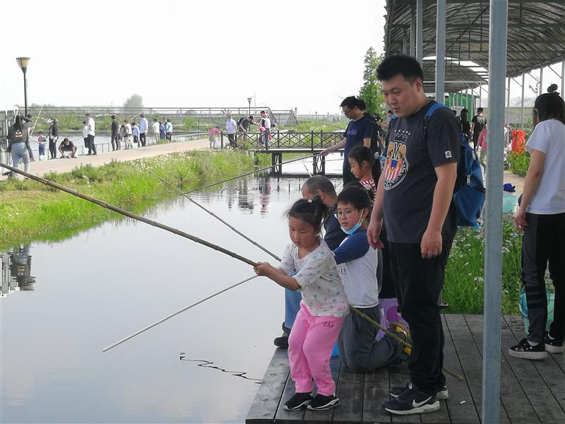 上海枫泾镇五一假期打造了独具特色的都市休闲体验生态农业模式