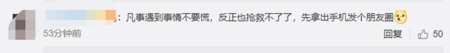 野餐还没拍好照就被牛吃了 网友笑称：给我送饭还整得这么有情调