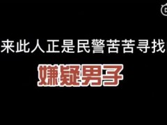 民警人群中多看了狗一眼抓获嫌犯！狗主人正是民警要找的嫌疑男子！