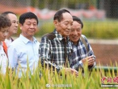 隆平院士港落户广州黄埔！共同打造现代农业科技“黄埔军校”