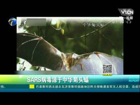 石正丽新研究:需持续监控蝙蝠 中华菊头蝠是SARS病毒的宿主