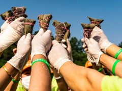 今年端午节为21世纪并列最晚 网友表示有生之年没意外可以过三次闰年