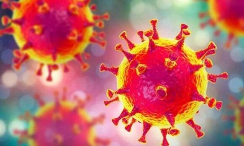 29%新冠病毒样本出现D614G变异！新冠病毒正快速突变！新冠病毒突变意味着什么？