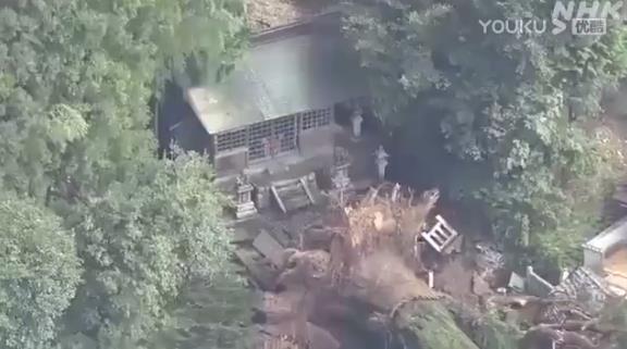 日本千年神树因大雨连根倒地！自然灾害导致房屋倒塌怎么办？