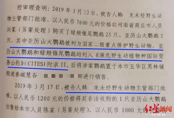 大学生售卖2只鹦鹉一审获刑6年！售卖野生动物构成什么罪？怎么立案标准？