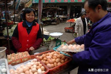 最近鸡蛋涨价太疯狂了，什么原因导致暴涨？