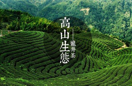 7000字讲透小罐茶杜国楹营销哲学：倒做，从0到20亿的秘密