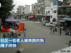 老人被狗绳绊倒摔地后身亡 贵阳发布规范养犬管理通告