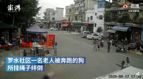 老人被狗绳绊倒摔地后身亡（狗主人带狗逃离现场）