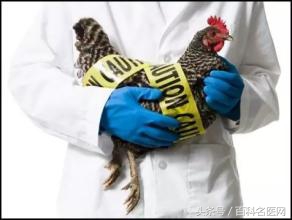 禽流感来袭！人出现这些症状就是感染了禽流感！预防注意5点！