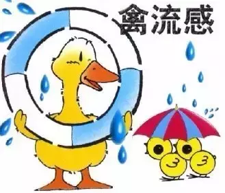 什么是h7n9禽流感？h7n9禽流感如何预防