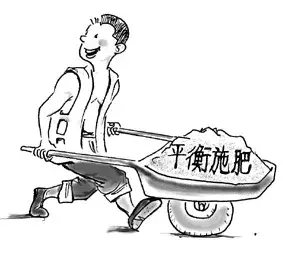 什么叫高浓度复合肥料?复合肥料的概念和特点