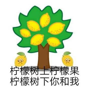 柠檬精是什么意思