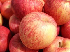 苹果什么时候吃最好？只要不要这个时候吃就有保健效果