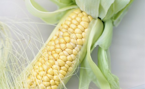 可以生吃的水果玉米引争议，到底是不是转基因？