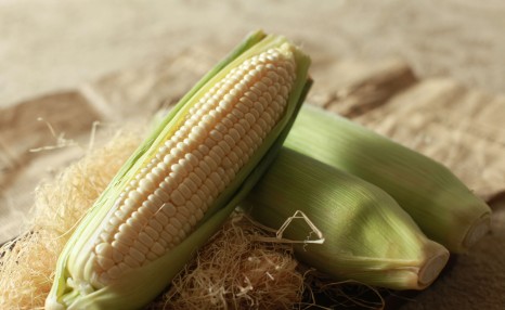 可以生吃的水果玉米引争议，到底是不是转基因？
