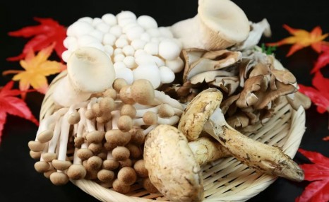 菠萝、小龙虾都有毒?最全官方权威“天然食毒”物普,赶紧收藏