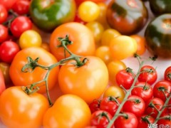 大西红柿是不是水果？西红柿到底属于蔬菜还是水果