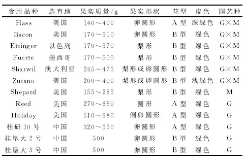 牛油果是2018年火爆网红水果，适合哪些地方种植，如何种植？