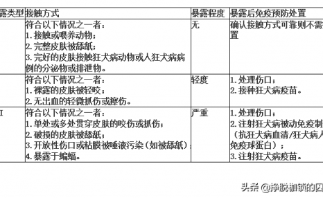 被狗咬了，没有流血，也没有破皮，需要打狂犬疫苗吗？